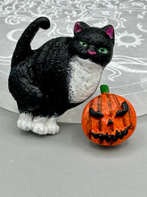 Load image into Gallery viewer, Cat And Pumpkin Polymer Clay Art Magnets, Hand Crafted Mini Cat And Pumpkin