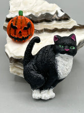 Load image into Gallery viewer, Cat And Pumpkin Polymer Clay Art Magnets, Hand Crafted Mini Cat And Pumpkin