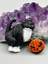 Load image into Gallery viewer, Cat And Pumpkin Polymer Clay Art Magnets, Hand Crafted Mini Cat And Pumpkin