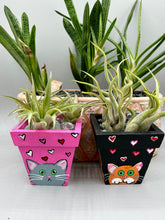 Load image into Gallery viewer, Hand-painted cute cat and flowers themed decorative mini pine wood planter. Perfect for use with air plants, or as a holder for everyday items. Just in time for Spring and Summer home decor. Makes a great housewarming gift!