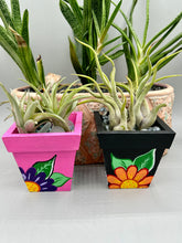 Load image into Gallery viewer, Hand-painted cute cat and flowers themed decorative mini pine wood planter. Perfect for use with air plants, or as a holder for everyday items. Just in time for Spring and Summer home decor. Makes a great housewarming gift!
