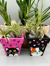 Load image into Gallery viewer, Hand-painted cute cat and flowers themed decorative mini pine wood planter. Perfect for use with air plants, or as a holder for everyday items. Just in time for Spring and Summer home decor. Makes a great housewarming gift!
