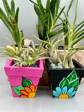 Load image into Gallery viewer, Hand-painted cute cat and flowers themed decorative mini pine wood planter. Perfect for use with air plants, or as a holder for everyday items. Just in time for Spring and Summer home decor. Makes a great housewarming gift!