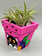 Load image into Gallery viewer, Hand-painted cute cat and flowers themed decorative mini pine wood planter. Perfect for use with air plants, or as a holder for everyday items. Just in time for Spring and Summer home decor. Makes a great housewarming gift!