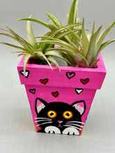 Load image into Gallery viewer, Hand-painted cute cat and flowers themed decorative mini pine wood planter. Perfect for use with air plants, or as a holder for everyday items. Just in time for Spring and Summer home decor. Makes a great housewarming gift!