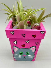 Load image into Gallery viewer, Hand-painted cute cat and flowers themed decorative mini pine wood planter. Perfect for use with air plants, or as a holder for everyday items. Just in time for Spring and Summer home decor. Makes a great housewarming gift!