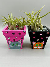 Load image into Gallery viewer, Hand-painted cute cat and flowers themed decorative mini pine wood planter. Perfect for use with air plants, or as a holder for everyday items. Just in time for Spring and Summer home decor. Makes a great housewarming gift!