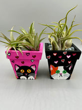 Load image into Gallery viewer, Hand-painted cute cat and flowers themed decorative mini pine wood planter. Perfect for use with air plants, or as a holder for everyday items. Just in time for Spring and Summer home decor. Makes a great housewarming gift!