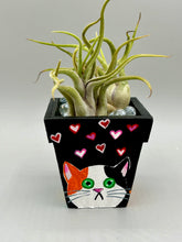 Load image into Gallery viewer, Hand-painted cute cat and flowers themed decorative mini pine wood planter. Perfect for use with air plants, or as a holder for everyday items. Just in time for Spring and Summer home decor. Makes a great housewarming gift!