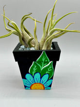 Load image into Gallery viewer, Hand-painted cute cat and flowers themed decorative mini pine wood planter. Perfect for use with air plants, or as a holder for everyday items. Just in time for Spring and Summer home decor. Makes a great housewarming gift!
