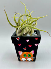 Load image into Gallery viewer, Hand-painted cute cat and flowers themed decorative mini pine wood planter. Perfect for use with air plants, or as a holder for everyday items. Just in time for Spring and Summer home decor. Makes a great housewarming gift!
