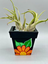 Load image into Gallery viewer, Hand-painted cute cat and flowers themed decorative mini pine wood planter. Perfect for use with air plants, or as a holder for everyday items. Just in time for Spring and Summer home decor. Makes a great housewarming gift!