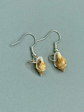 Load image into Gallery viewer, These dainty and delicate conch shell earrings provide a subtle and sophisticated addition to any ensemble. Nature lovers and beach-goers alike will appreciate the subtle ocean vibes these earrings bring, making them a perfect accessory for summer fashion.  Measurements: 3/4” in length
