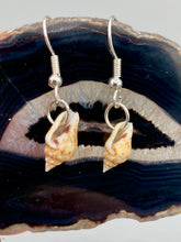 Load image into Gallery viewer, These dainty and delicate conch shell earrings provide a subtle and sophisticated addition to any ensemble. Nature lovers and beach-goers alike will appreciate the subtle ocean vibes these earrings bring, making them a perfect accessory for summer fashion. Measurements: 3/4” in length