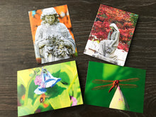 Load image into Gallery viewer, Assortment Of Cemetery Angel, Dragonfly And Bees Fine Photography Art Note Cards