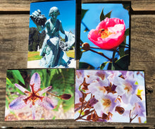Load image into Gallery viewer, Assortment Of Cemetery Angel, Flowers And Bees Fine Photography Art Note Cards