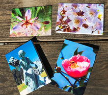Load image into Gallery viewer, Assortment Of Cemetery Angel, Flowers And Bees Fine Photography Art Note Cards