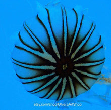 Load image into Gallery viewer, jellyfish