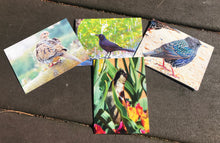 Load image into Gallery viewer, Assortment of Bird Fine Photography Blank Note Cards