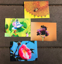 Load image into Gallery viewer, Assortment Vibrant High Quality Bee Photography Blank Note CardsThis set of blank greeting cards includes a mixed set of vibrant photographs of bees, capturing the beauty of nature in beautiful colors. A perfect way to send a special note for any occasion and make someone’s day brighter. Enjoy the idyllic summertime feel with these nature-inspired photography cards.