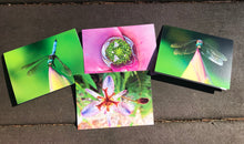 Load image into Gallery viewer, Assortment of Vibrant Dragonfly and Pink/Purple Flower Fine Photography Blank Note Cards