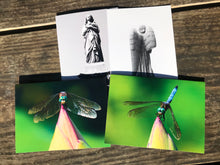 Load image into Gallery viewer, Cemetery Angel Black and White Photography, Vibrant Colorful Dragonfly Photography, Fine Photography Art Note Cards