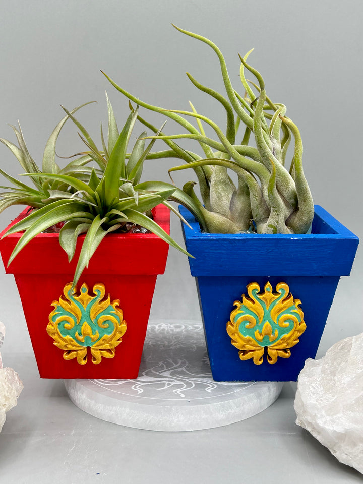 Beautiful baroque style decorative mini pine wood planter. Perfect for use with air plants, or as a holder for everyday items. Just in time for Spring and Summer home decor. Makes a great housewarming gift!