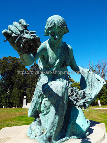 Commemorate a lost loved one with this Cemetery Angel sympathy card. The solemn image of an angel holding a rose in her hands captures the tenderness of remembrance and provides a thoughtful way to express your condolences to a grieving family. Perfect for any occasion.