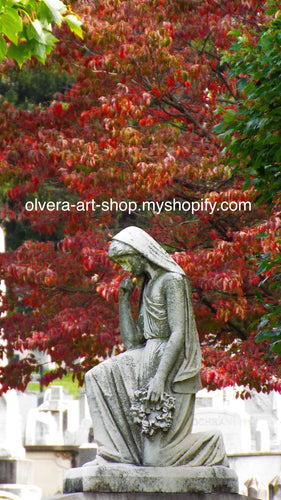 Send your loved one a special message of sympathy with this Cemetery Angel Sympathy Card. The card features a beautiful photograph of a cemetery angel statue with vibrant red fall foliage in the background. Perfect for any occasion to let someone know you care.