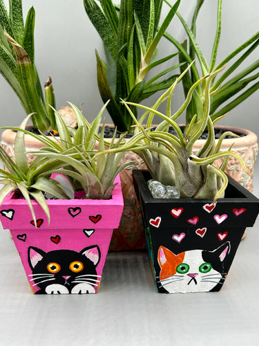 Hand-painted cute cat and flowers themed decorative mini pine wood planter.  Perfect for use with air plants, or as a holder for everyday items. Just in time for Spring and Summer home decor.  Makes a great housewarming gift!