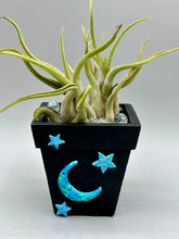 Load image into Gallery viewer, Crescent Moon And Butterfly Decorative Hand-painted Mini Wood Planter For Air Plants, Home Decor Wood Planter
