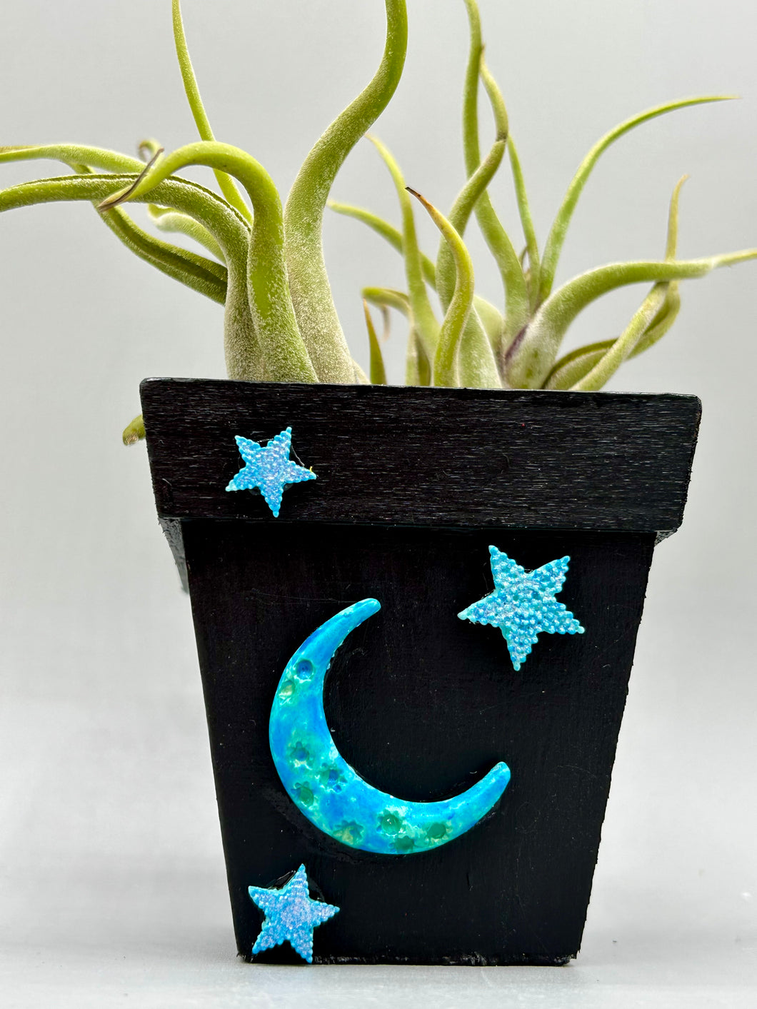 Crescent Moon And Butterfly Decorative Hand-painted Mini Wood Planter For Air Plants, Home Decor Wood Planter