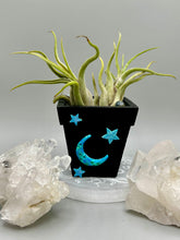 Load image into Gallery viewer, Crescent Moon And Butterfly Decorative Hand-painted Mini Wood Planter For Air Plants, Home Decor Wood Planter
