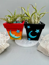 Load image into Gallery viewer, Crescent Moon And Butterfly Decorative Hand-painted Mini Wood Planter For Air Plants, Home Decor Wood Planter
