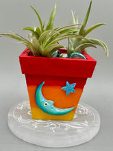 Load image into Gallery viewer, Crescent Moon And Butterfly Decorative Hand-painted Mini Wood Planter For Air Plants, Home Decor Wood Planter
