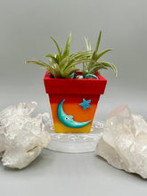 Load image into Gallery viewer, Crescent Moon And Butterfly Decorative Hand-painted Mini Wood Planter For Air Plants, Home Decor Wood Planter
