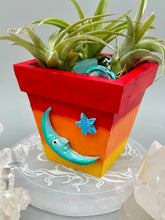 Load image into Gallery viewer, Crescent Moon And Butterfly Decorative Hand-painted Mini Wood Planter For Air Plants, Home Decor Wood Planter
