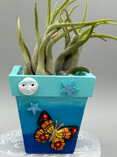 Load image into Gallery viewer, Crescent Moon And Butterfly Decorative Hand-painted Mini Wood Planter For Air Plants, Home Decor Wood Planter
