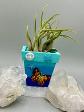 Load image into Gallery viewer, Crescent Moon And Butterfly Decorative Hand-painted Mini Wood Planter For Air Plants, Home Decor Wood Planter
