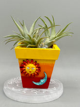 Load image into Gallery viewer, Crescent Moon And Sun Decorative Hand-painted Mini Wood Planter For Air Plants, Home Decor Wood Planter
