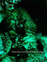 Load image into Gallery viewer, sleeping octopus with dark green tank lighting 

