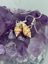 Load image into Gallery viewer, These dainty and delicate conch shell earrings provide a subtle and sophisticated addition to any ensemble. Nature lovers and beach-goers alike will appreciate the subtle ocean vibes these earrings bring, making them a perfect accessory for summer fashion.  Measurements: 3/4” in length 
