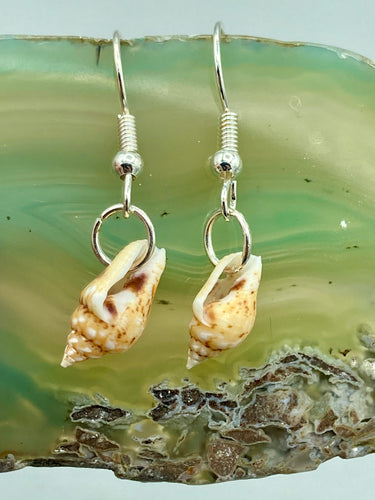 These dainty and delicate conch shell earrings provide a subtle and sophisticated addition to any ensemble. Nature lovers and beach-goers alike will appreciate the subtle ocean vibes these earrings bring, making them a perfect accessory for summer fashion.  Measurements: 3/4” in length 