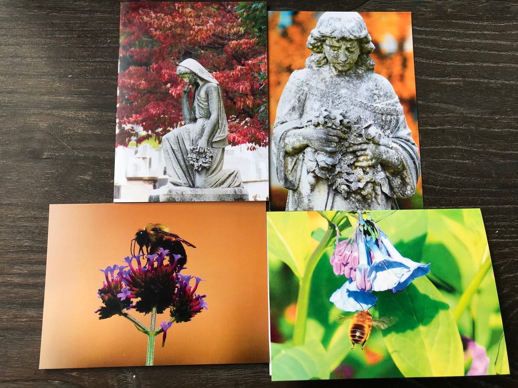 Assortment Of Cemetery Angel And Vibrant Color Bee  Fine Photography Art Note Cards