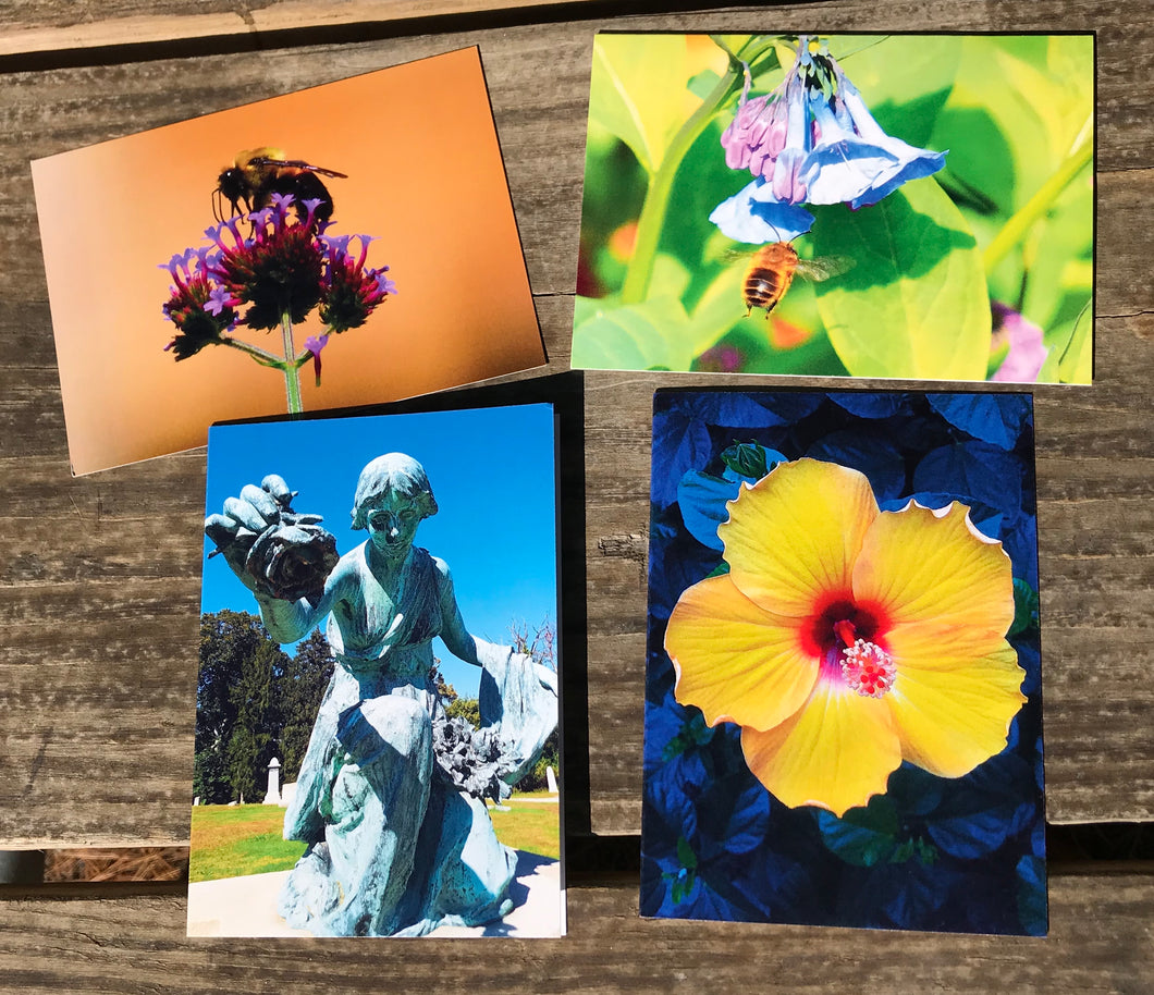 Assortment Of Cemetery Angel, Flowers And Bees Fine Photography Art Note Cards