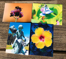 Load image into Gallery viewer, Assortment Of Cemetery Angel, Flowers And Bees Fine Photography Art Note Cards
