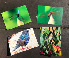 Load image into Gallery viewer, Assortment of Bird And Dragonfly Fine Art Photography Blank Note Cards
