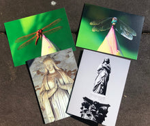 Load image into Gallery viewer, Assortment Of Cemetery Angel Fine Photography And Vibrant Colors Dragonfly  Art Note Cards
