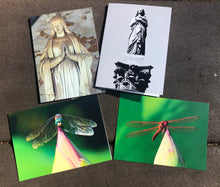 Load image into Gallery viewer, Assortment Of Cemetery Angel Fine Photography And Vibrant Colors Dragonfly  Art Note Cards
