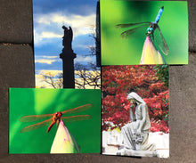 Load image into Gallery viewer, Assortment Of Cemetery Angel And Vibrant Color Dragonfly Fine Photography Art Note Cards
